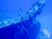 Bonaire - May 31, 2023 - Hilma Hooker