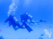 Bonaire - May 31, 2023 - Salt Pier