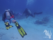 Bonaire - May 31, 2023 - Salt Pier