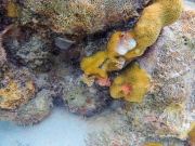 Bonaire - May 31, 2023 - Salt Pier