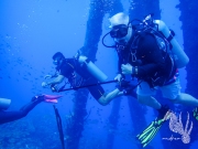 Bonaire - May 31, 2023 - Salt Pier