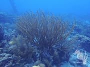 Bonaire - May 31, 2023 - Salt Pier