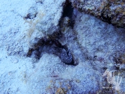 Bonaire - May 31, 2023 - Salt Pier