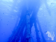 Bonaire - May 31, 2023 - Salt Pier