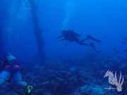 Bonaire - May 31, 2023 - Salt Pier